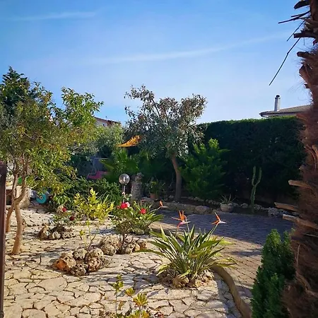 Arenella