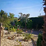 Arenella