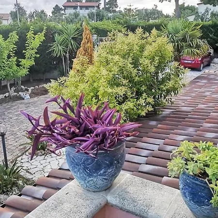 Arenella Casa de Férias *