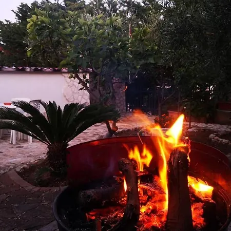 Arenella *