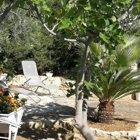 Arenella